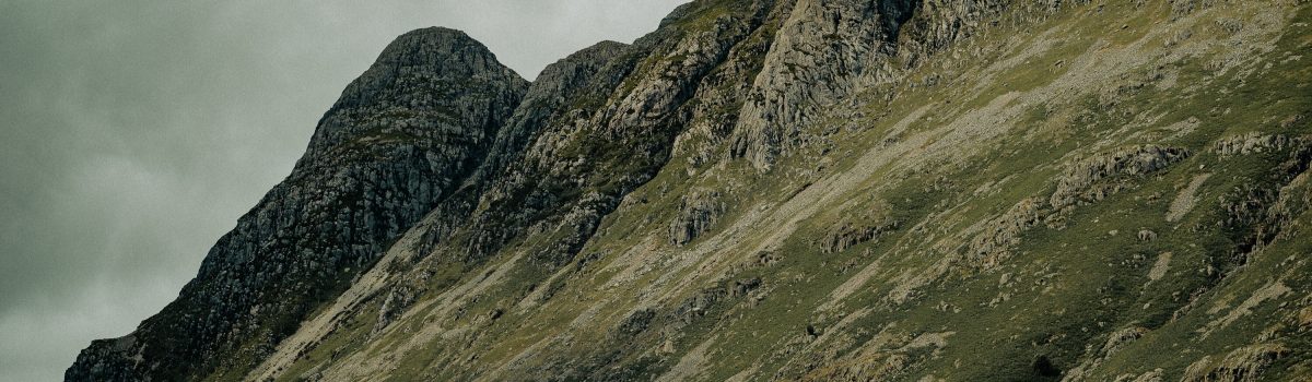 Tanya Raab 269 Edited