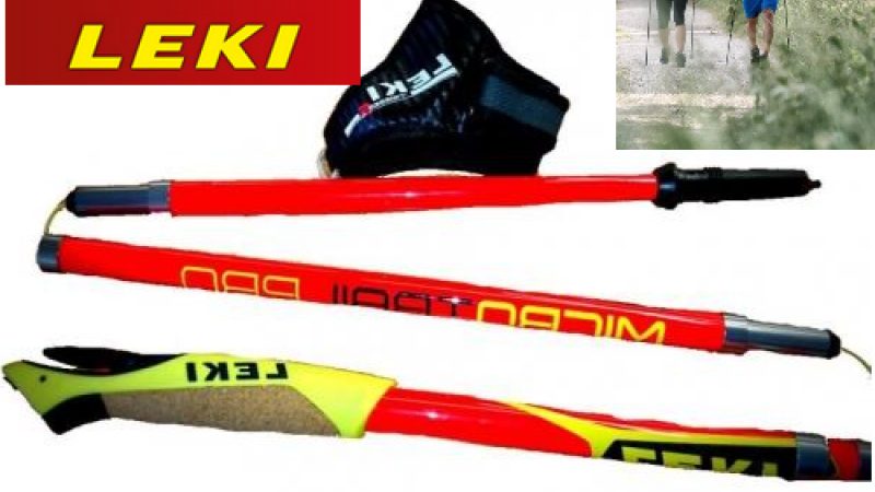 Leki Micro Trail Pro 2