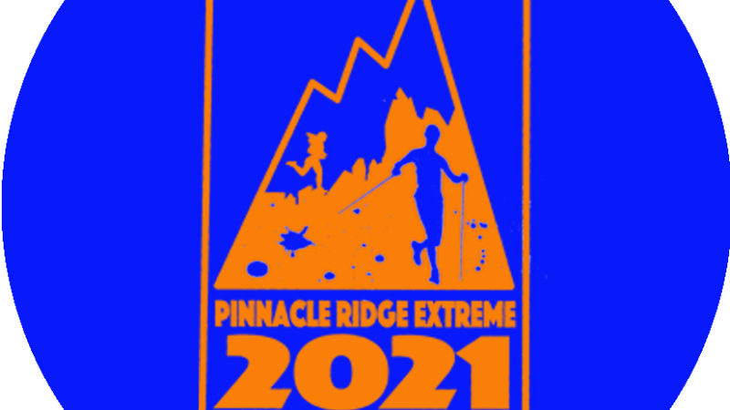 Car Sticker Pre 2021