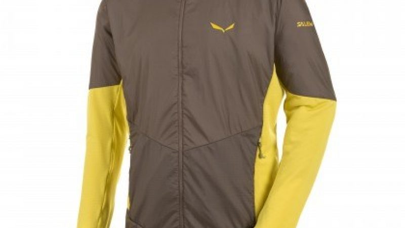 Salewa Ped Roc Mens