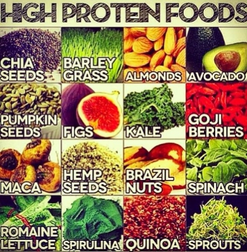 high-protein-foods